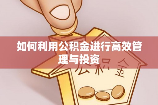 通渭如何利用公积金进行高效管理与投资