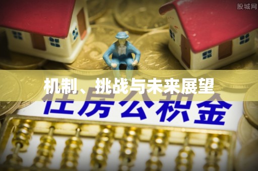 通渭机制、挑战与未来展望