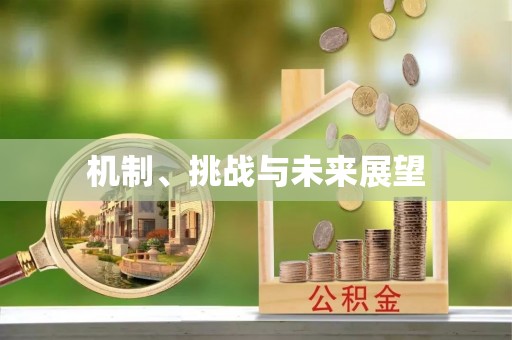 通渭机制、挑战与未来展望