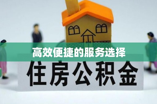 通渭高效便捷的服务选择